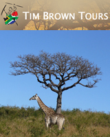 timbrowntours